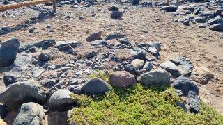 2024-03-Playa_de_Pozo-78.jpg
